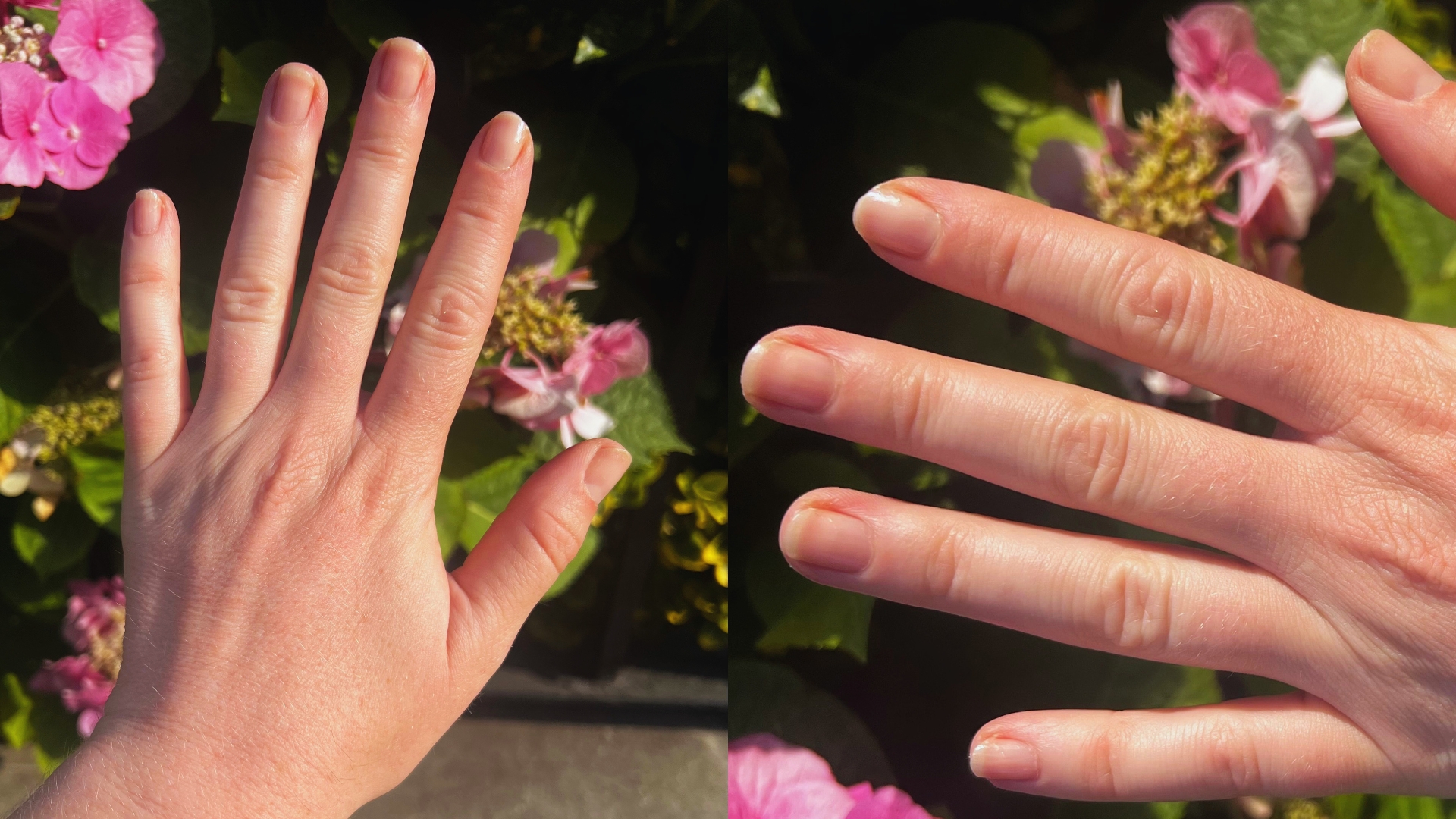 Two pictures of Digital Beauty Editor, Fiona McKim's glossy natural nails, pictured in front of pink garden flowers.