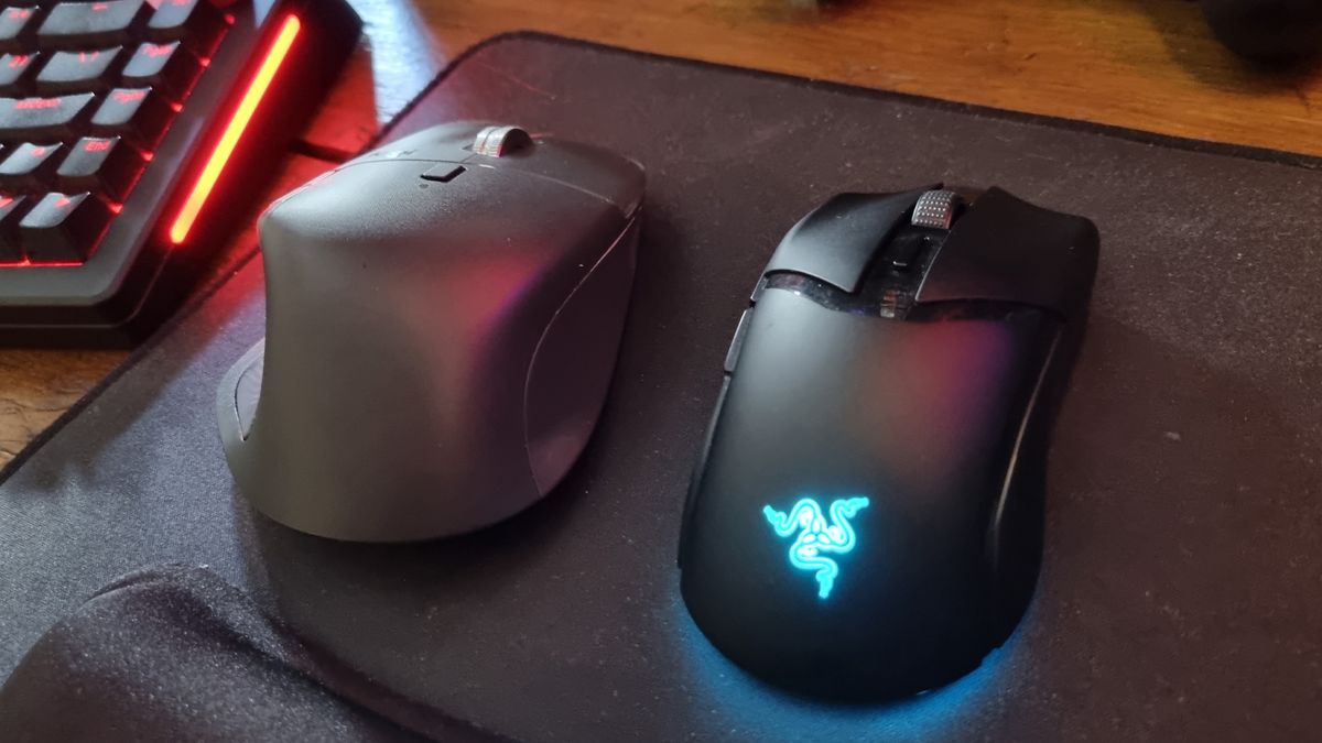 In my quest to find the perfect mouse for me, I've ended up with two completely different ones