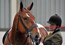 Fergus-S4AS-Cob.jpg