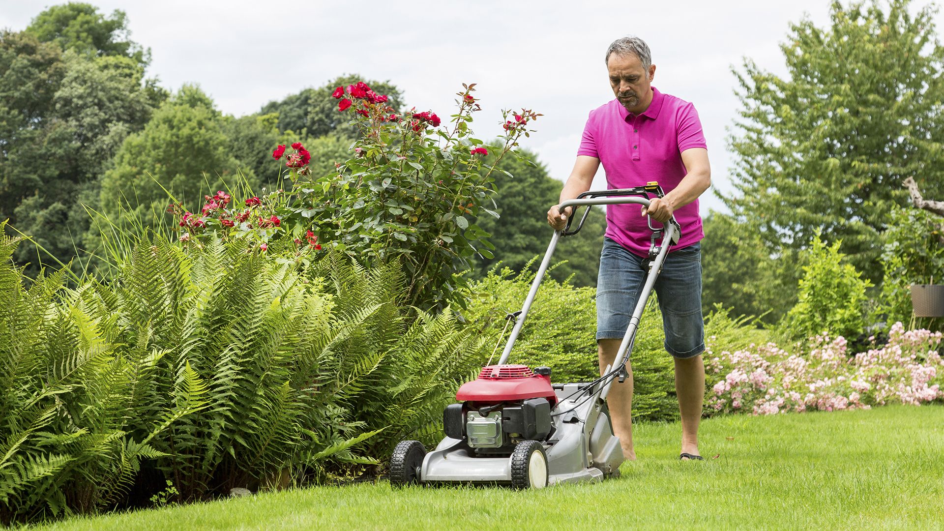 Best gas lawn mowers 2023 our top 10 for a smart yard Top Ten Reviews