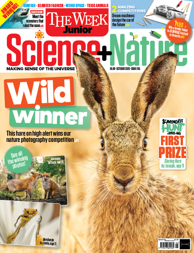Cover of The Week Junior magazine featuring a close-up of an alert hare with large ears, highlighting a nature photography competition winner