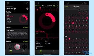 iOS 16 Fitness Summary screen with activity info