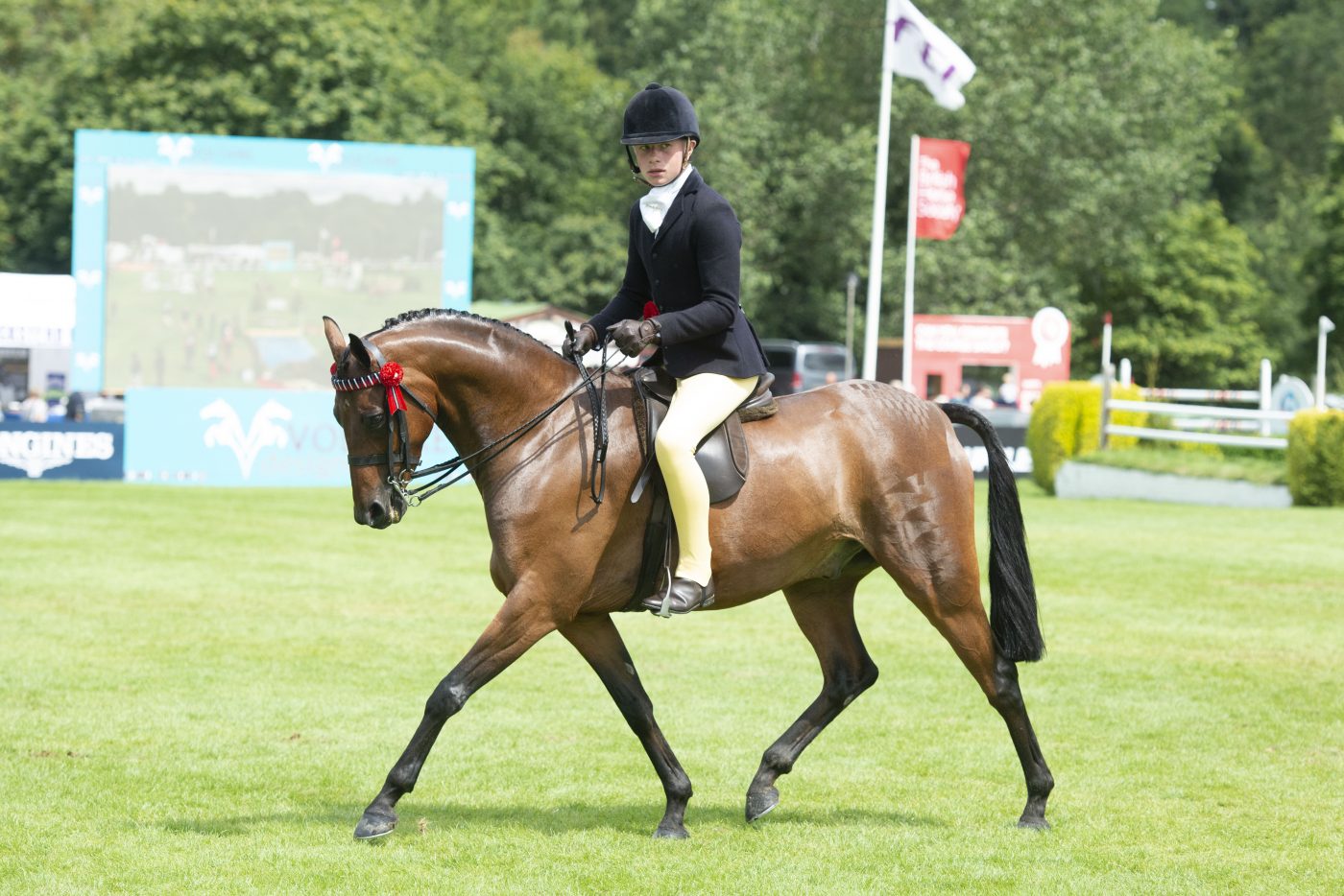 DSC6748_327327192_403887821-e1564417579152.jpg