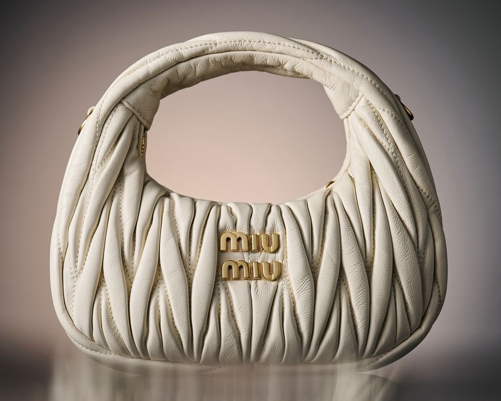 Miu miu bag