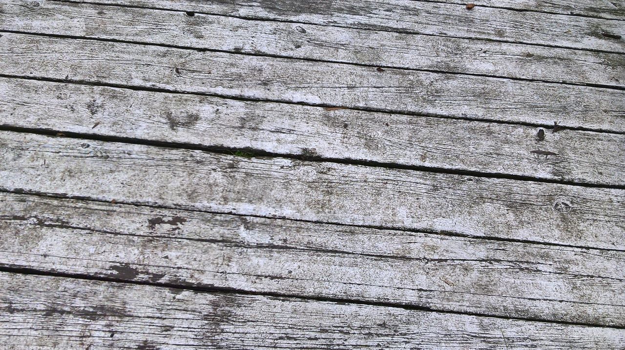 Lumia 550 camera sample