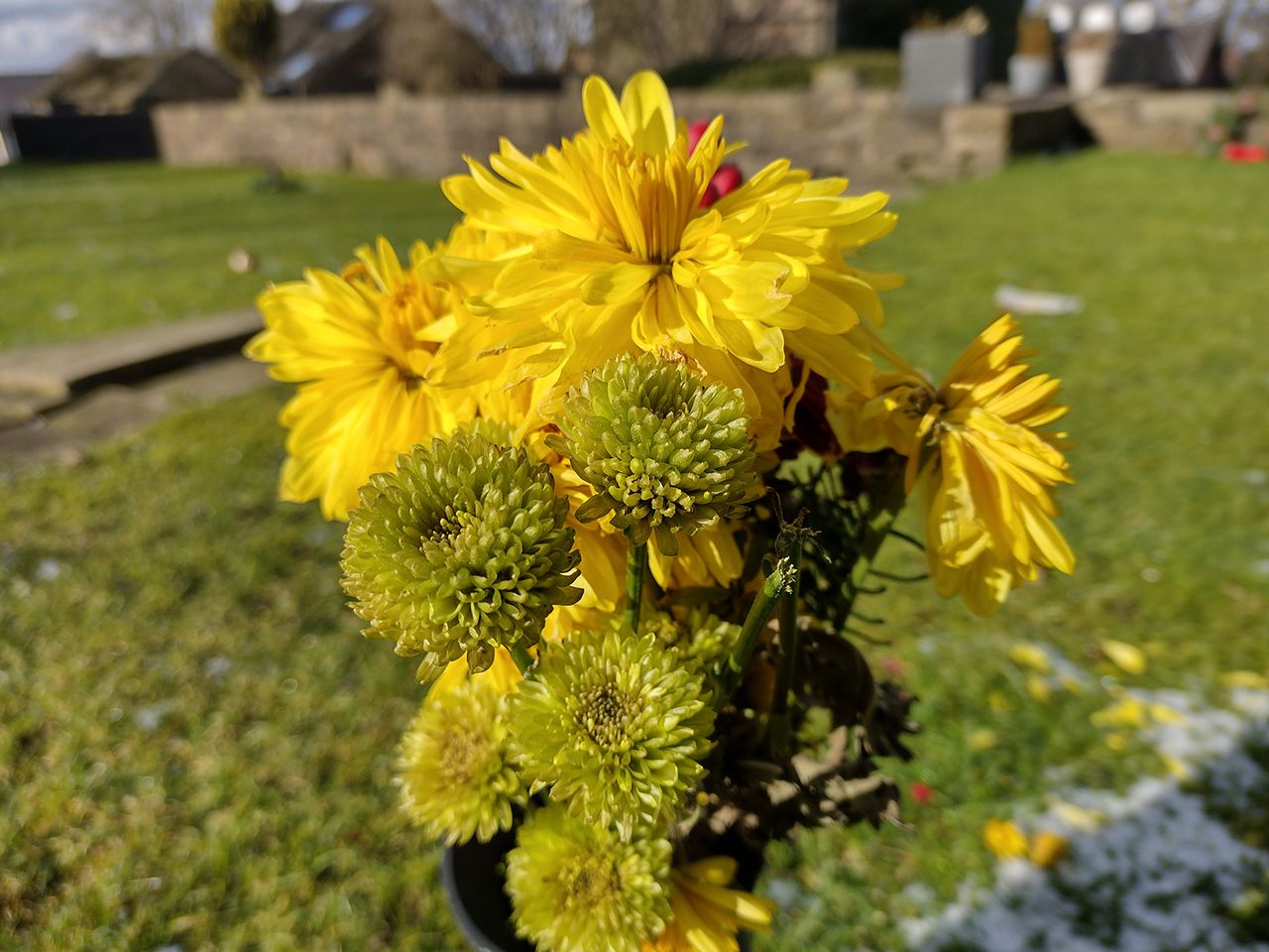 Moto G9 Power camera sample