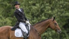 MTBridle1.jpg