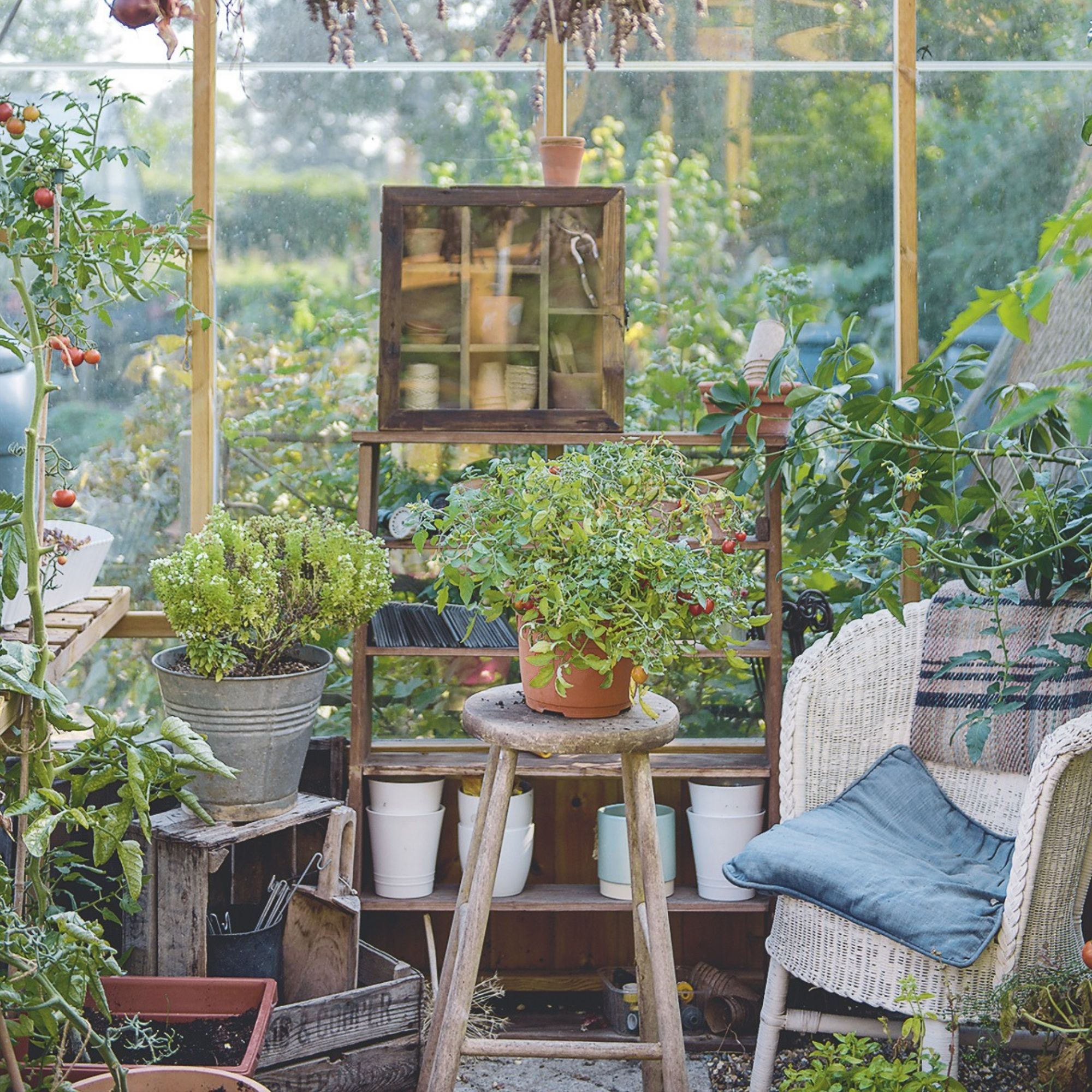 Rattan garden seat and furniture in greenhouse