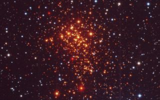 The Super Star Cluster Westerlund 1