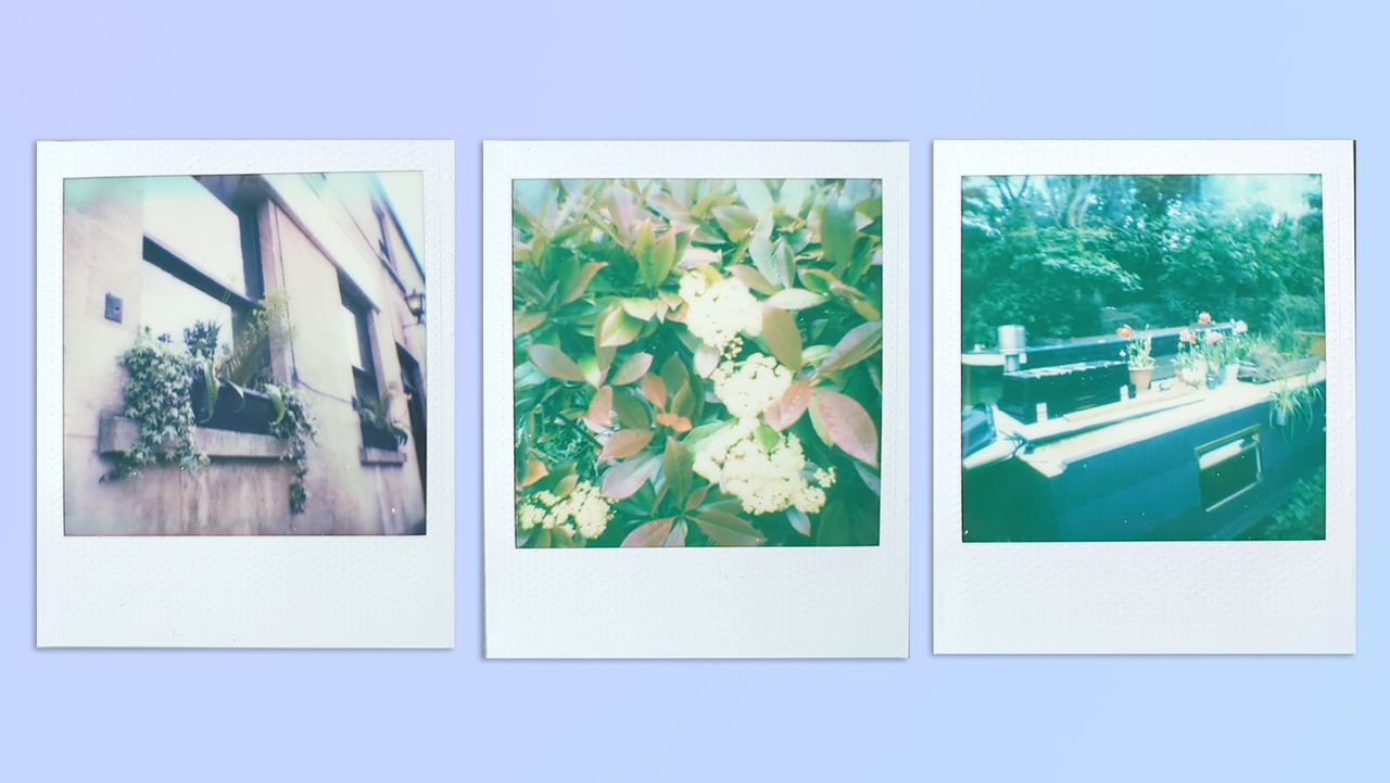 A compilation of scanned film photos taken on a Polaroid Go Gen 2 instant camera