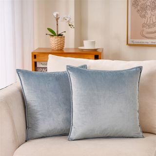 Warisi Flanged Square Velvet Pillow Cover & Reviews | Wayfair