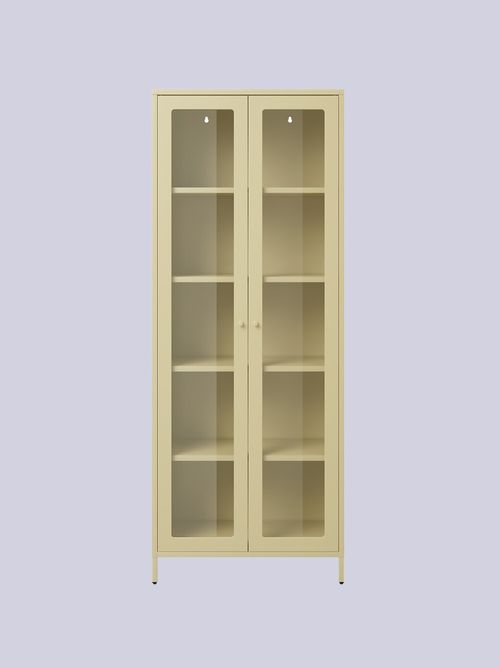 Talisk Industrial 2 Door Tall Metal and Glass Cabinet