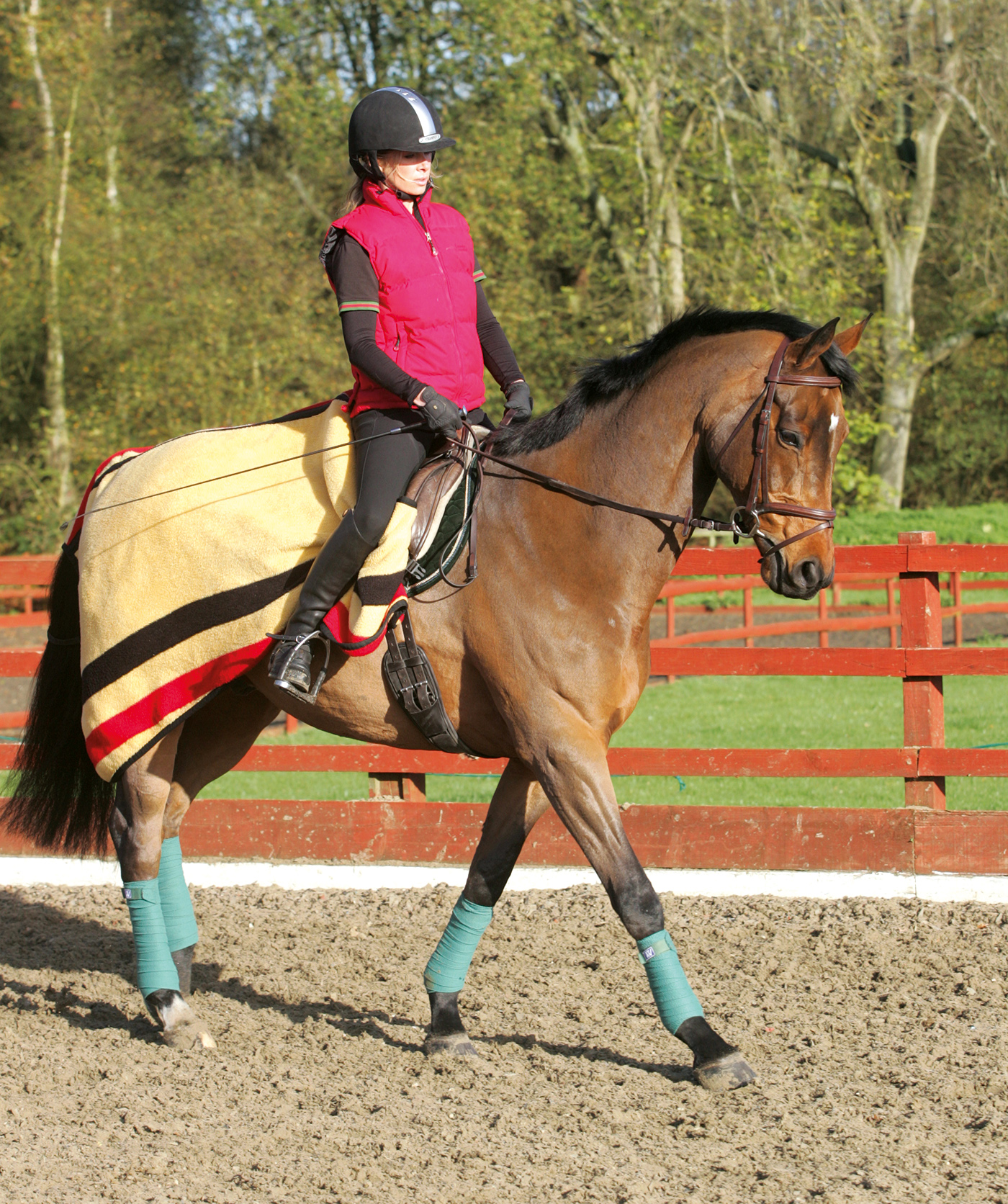warming up with an exercise rug sheet on