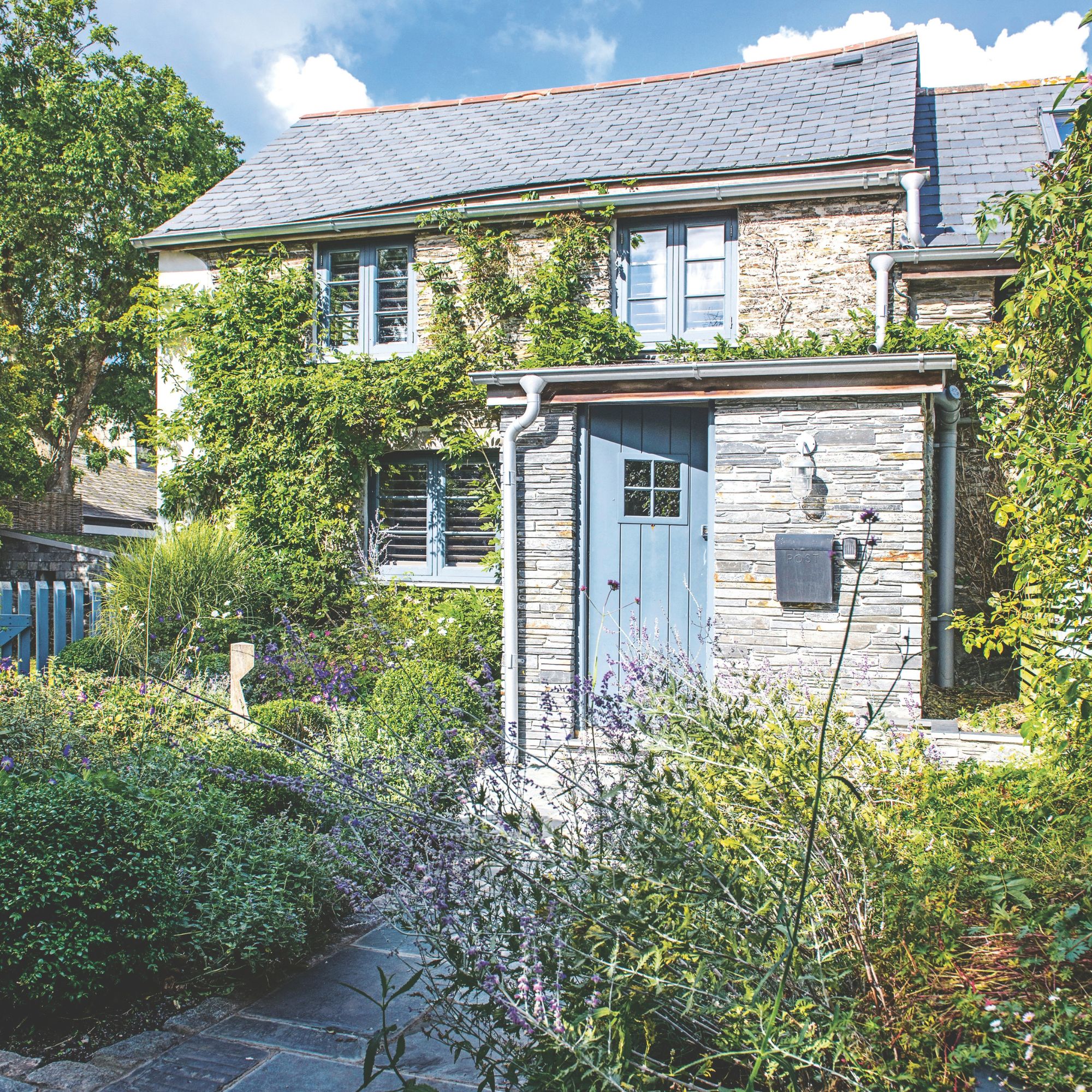 Cottage with slate frontage and an overgrown front garden