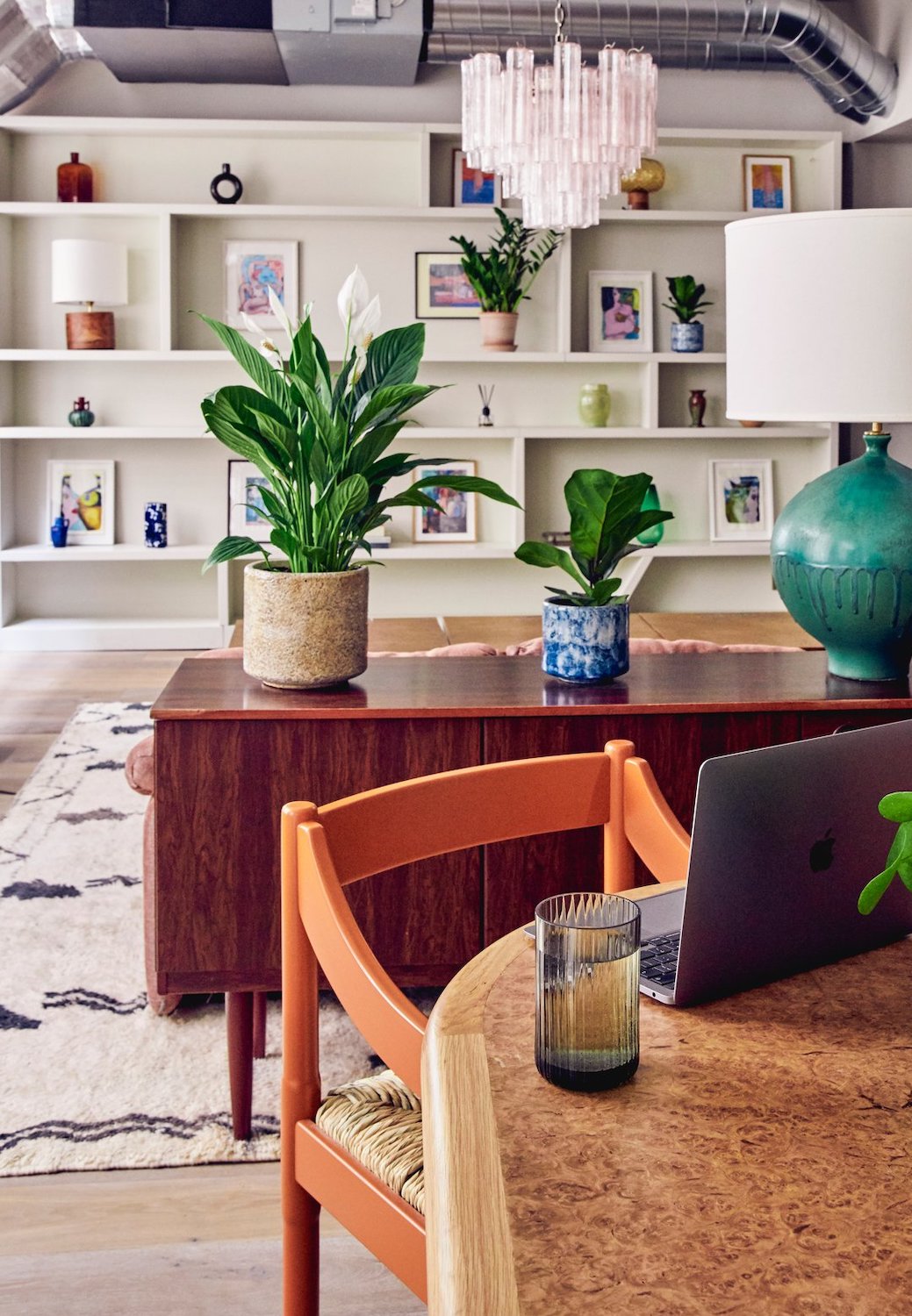 Peace lily plants on a desk with open shelves walls in the background with lots of frames and photos.