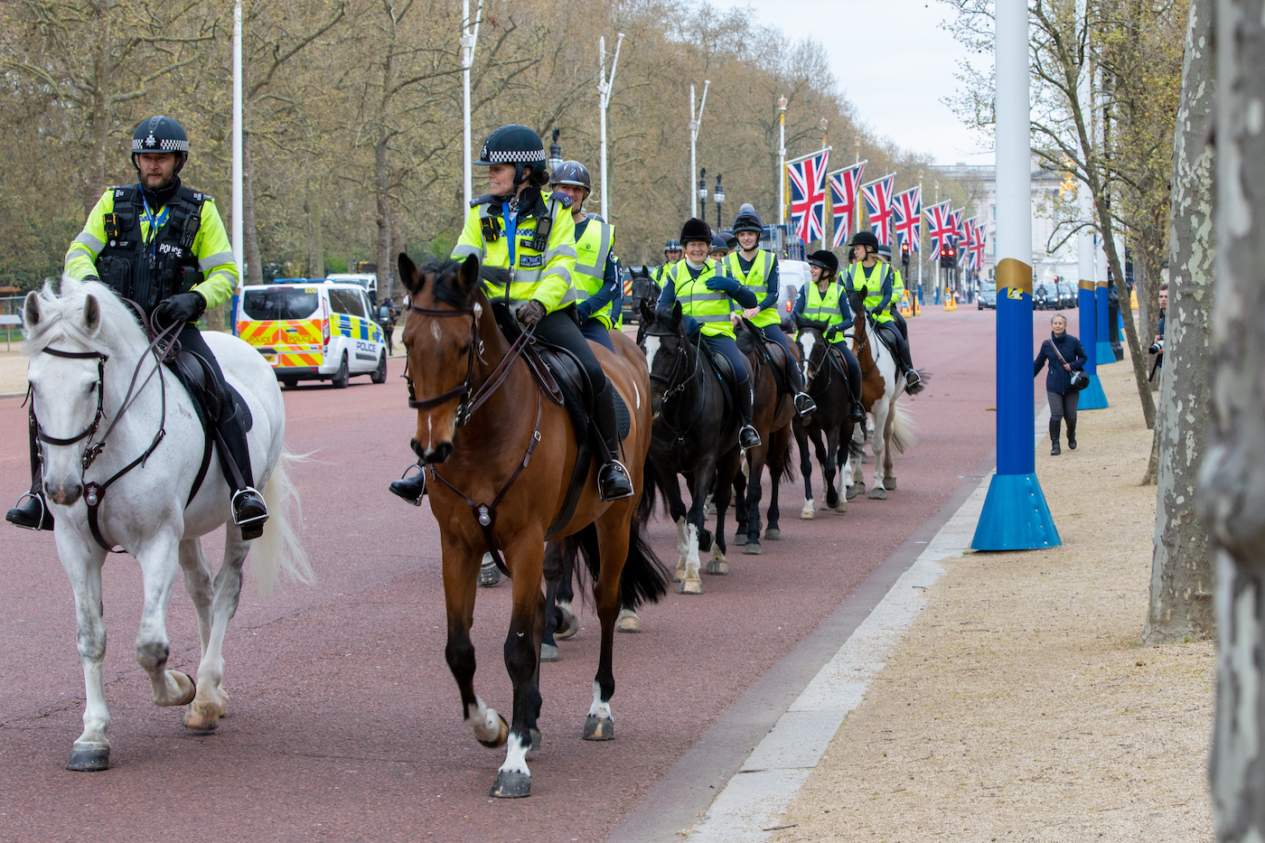 World Horse Welfare Westminster 180423-1