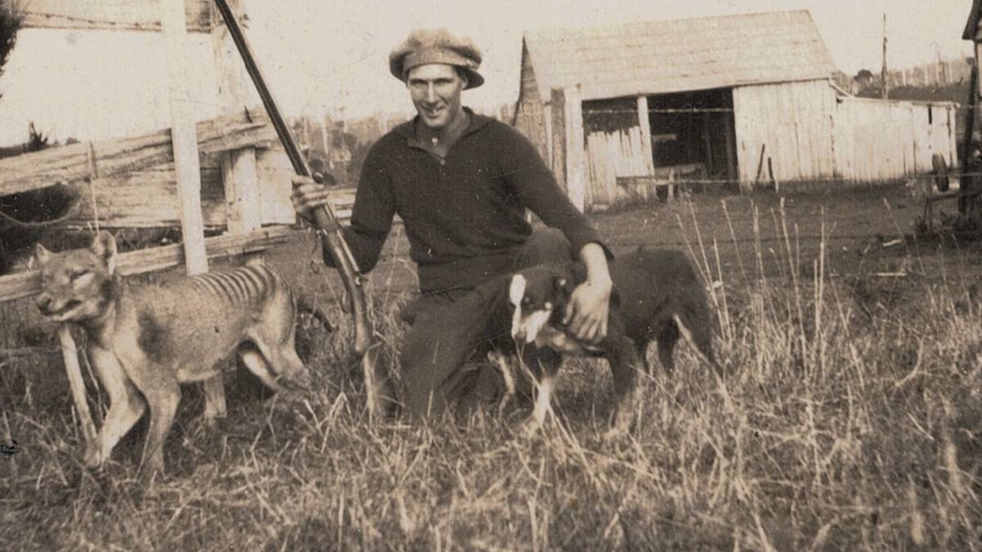 A black and white photo of an armed man posing next to a Tasmanian tiger with his dog