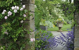 Stanton Fence garden near Mortpeth, Northumberland (©Val Corbett/Country Life Picture Library)