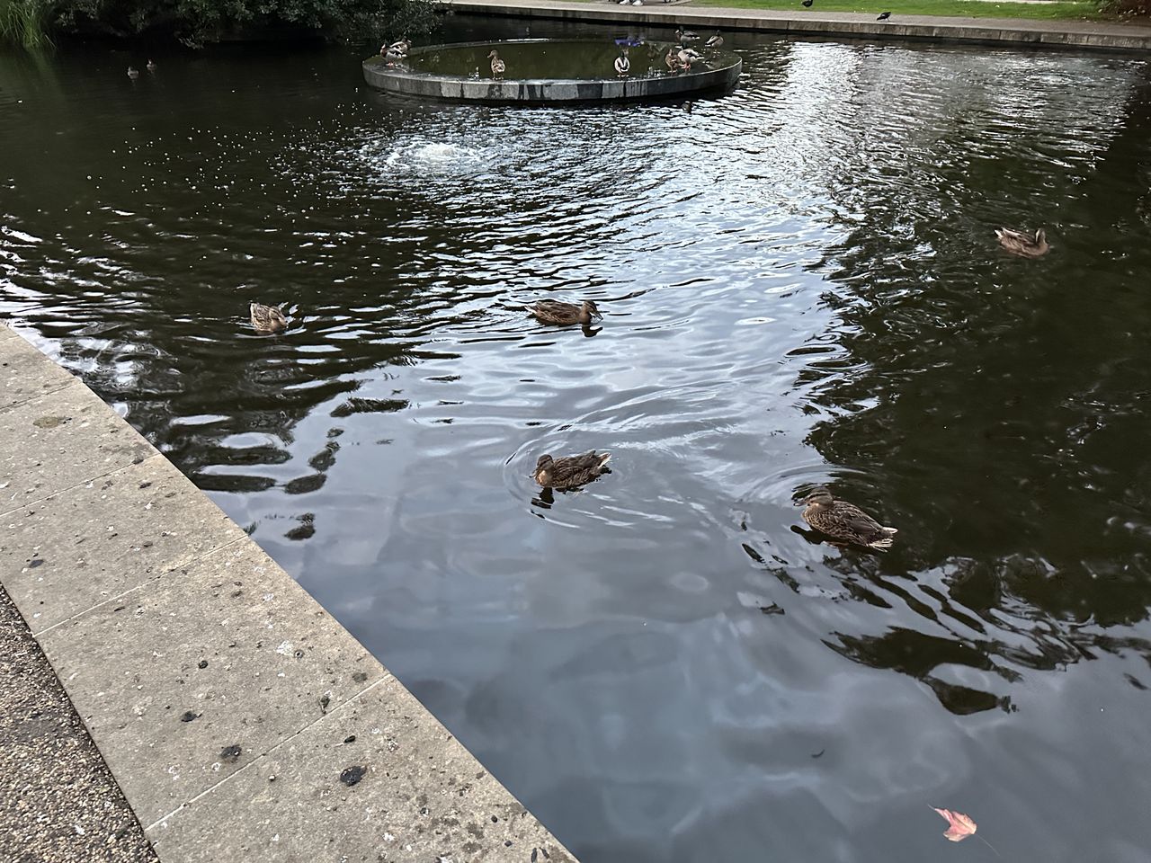 A photo taken on the iPhone 14 Pro