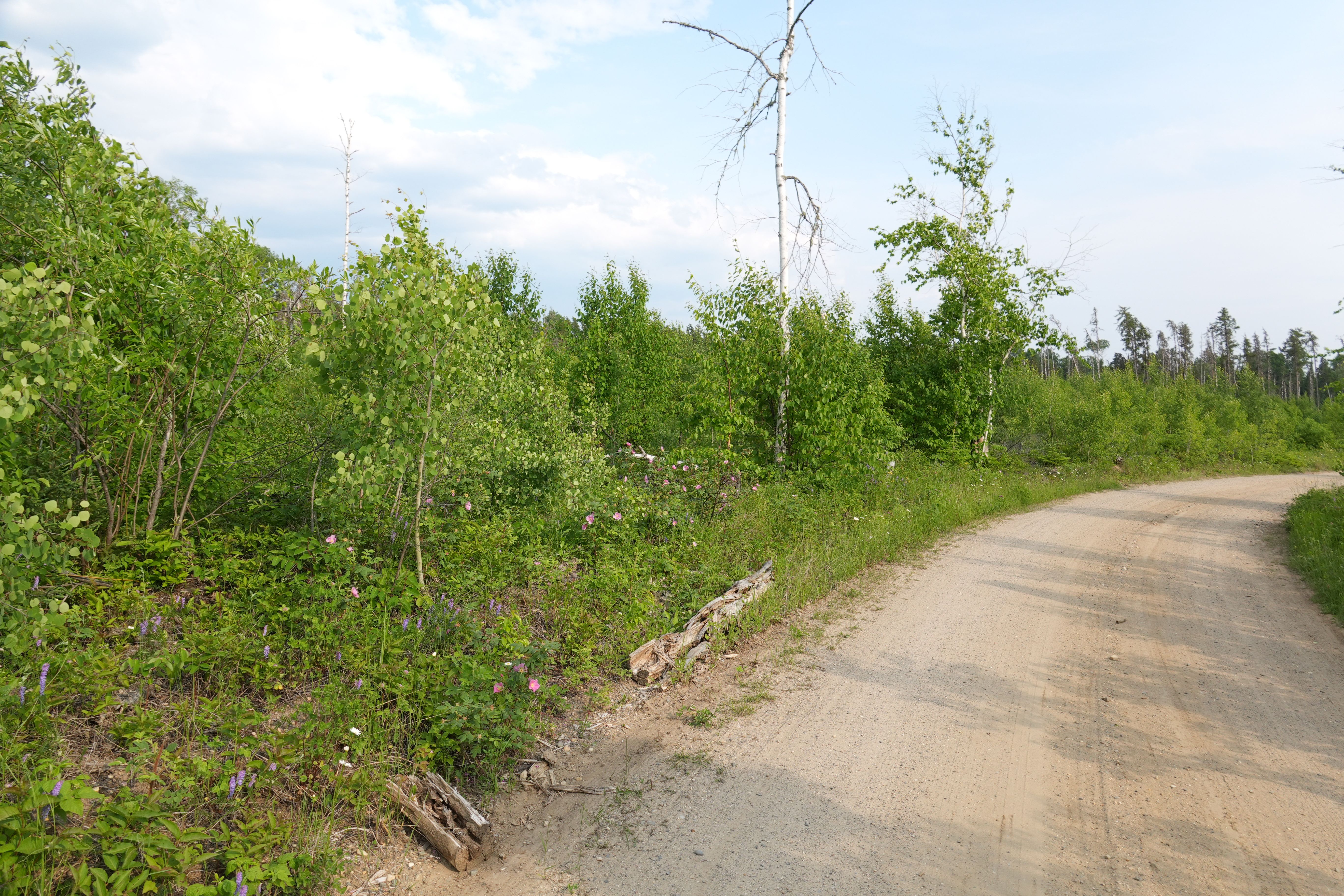 Sample images shot with the Sony RX10 V