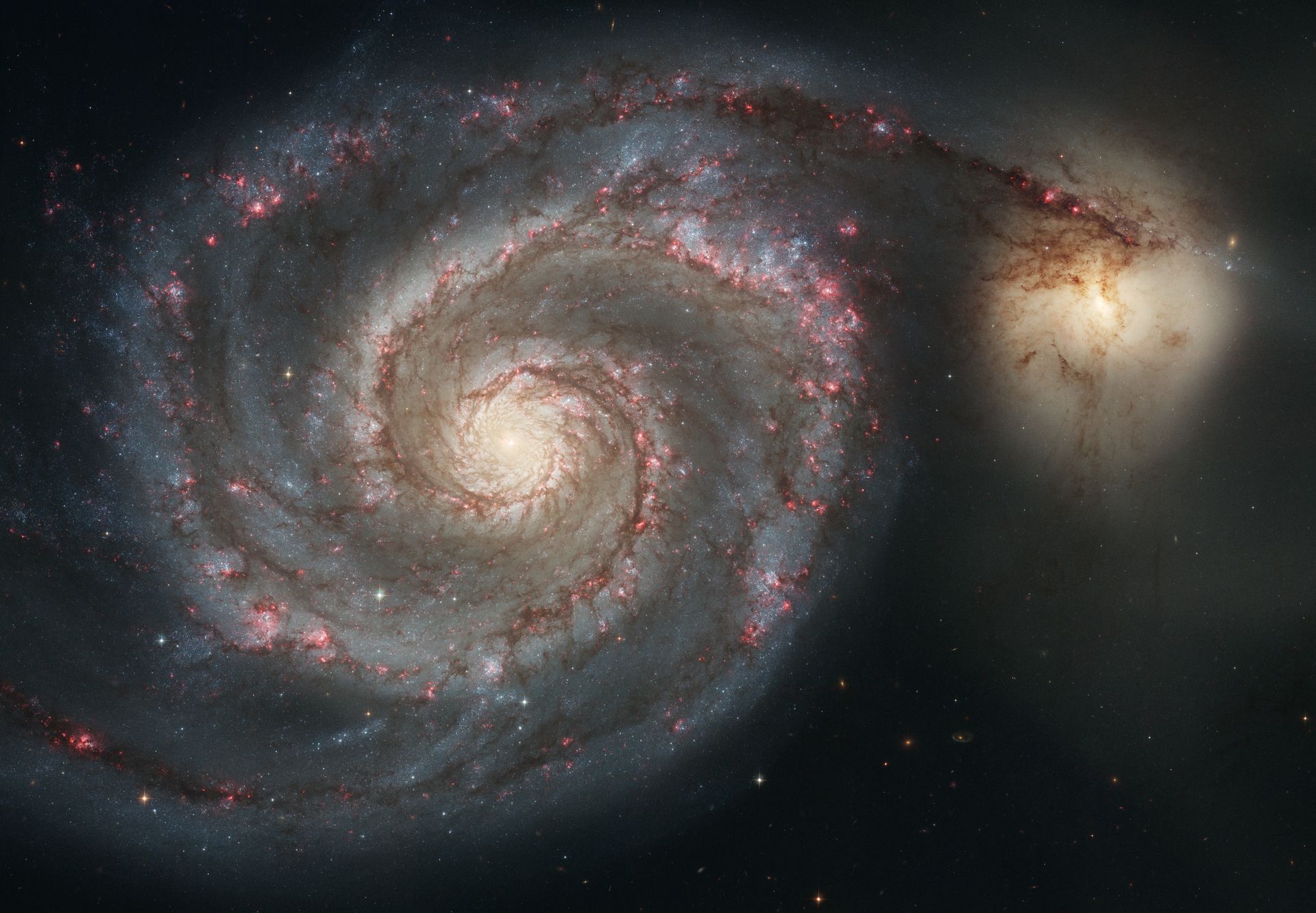 Spiral galaxy M51 (NGC 5194), The Whirlpool Galaxy, displays its long arms