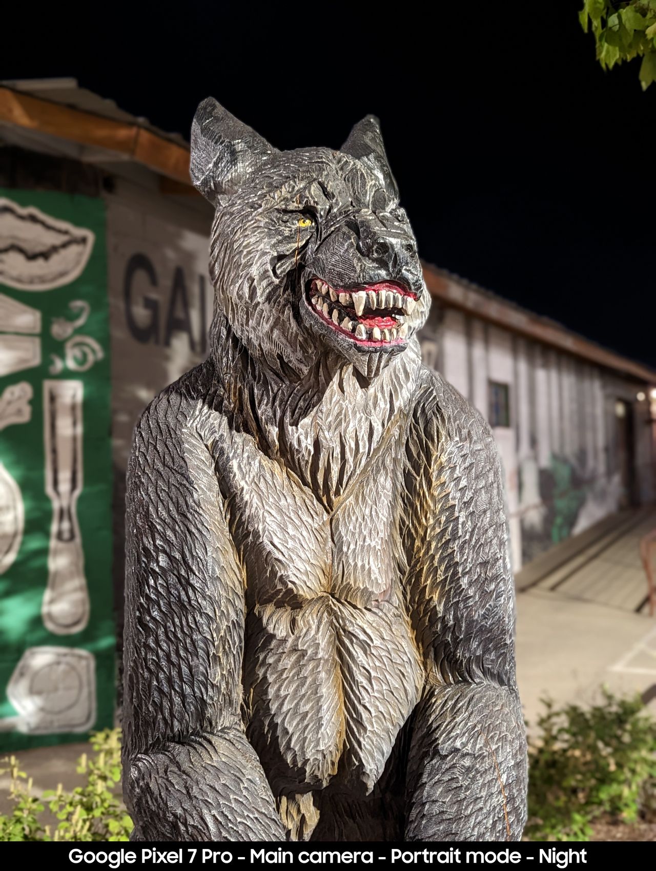 Google Pixel 7 Pro camera samples to compare to the Pixel 7a