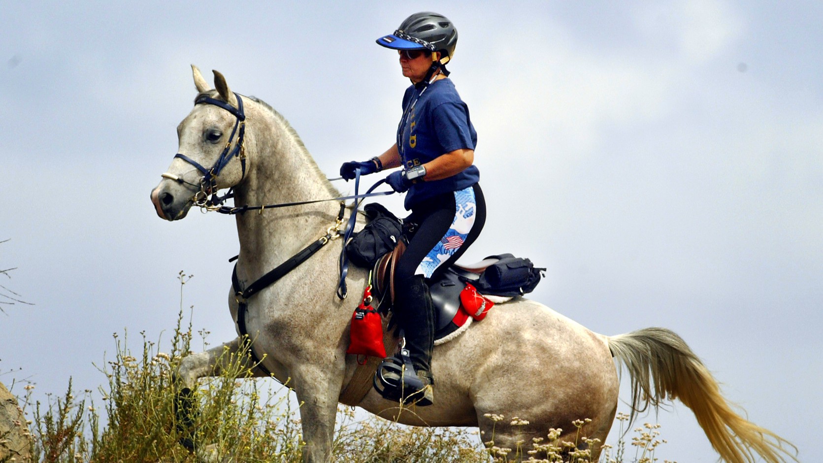 Cheryl Searer rides her 7-year-old purebred Arabian gelding in training for the Tevis Cup