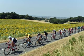 The peloton on stage thirteen of the 2015 Tour de France