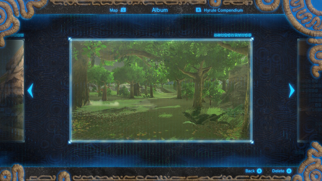 See image for Hyrule Field Breath of the Wild Captured Memories collection