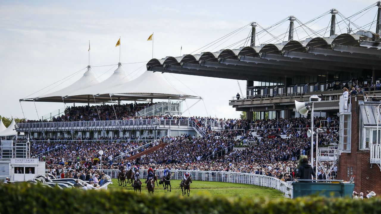 Goodwood horse racing brawl 