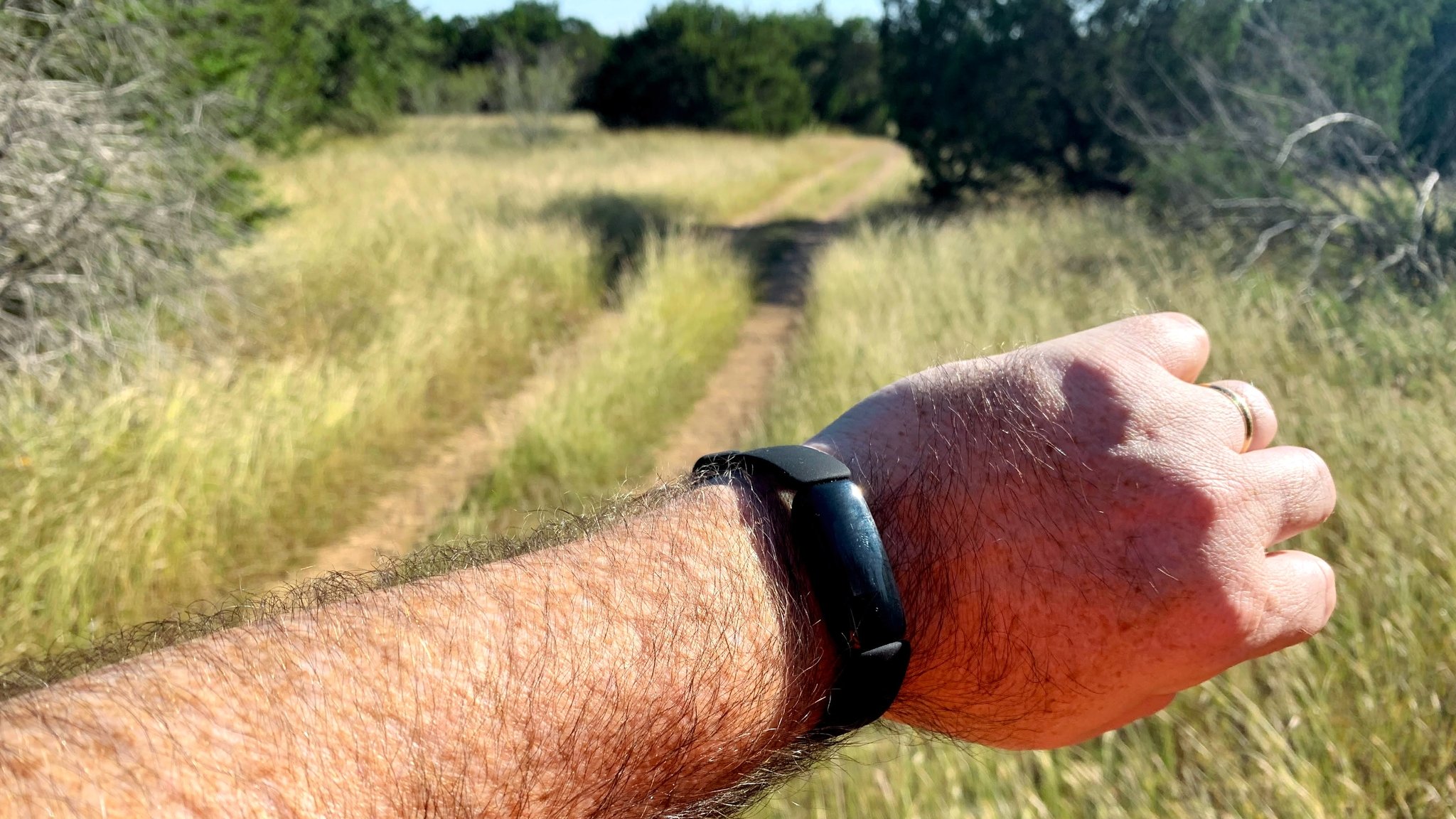 FitBit Inspire 2 Review - wit & whimsy