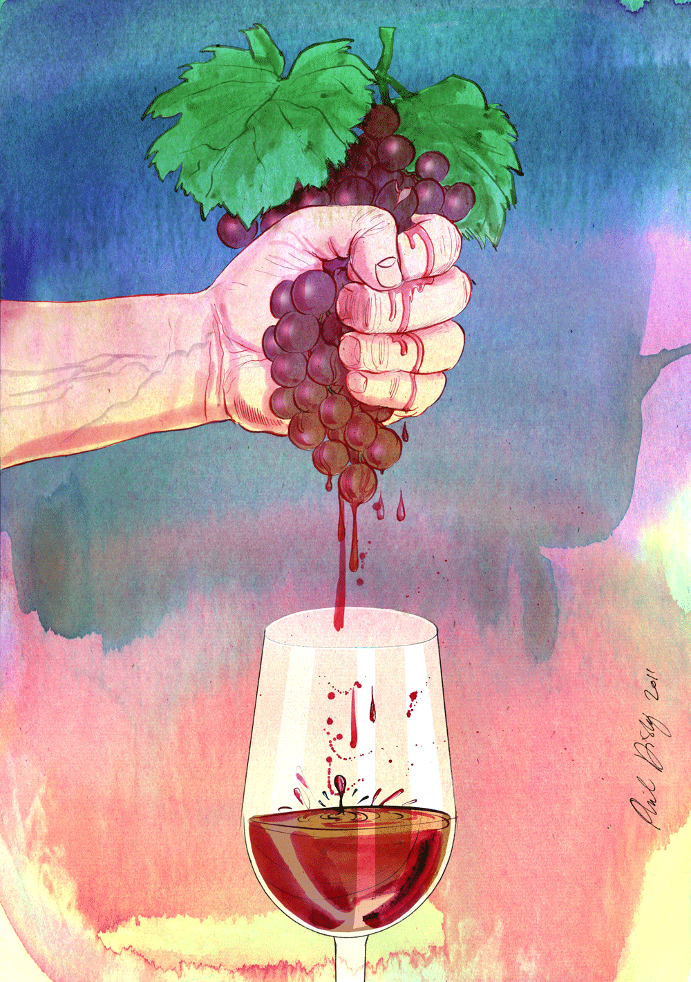 Natural wines illustration
