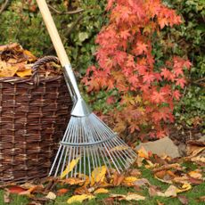 autumn garden with leaves and rake