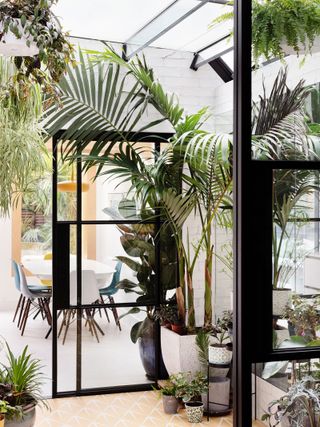 an internal courtyard in a modern home