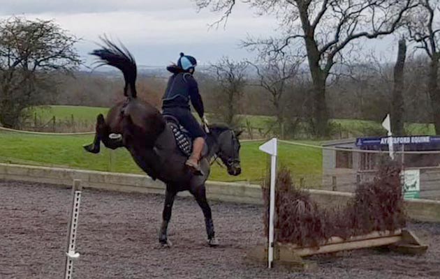 Becki Holmes — “This is my mare Bridget letting off some steam after being in due to the snow”