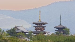 Yakushi-ji, Japan