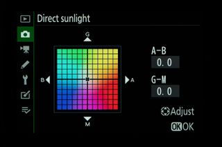 Nikon menu screen for white balance tutorial