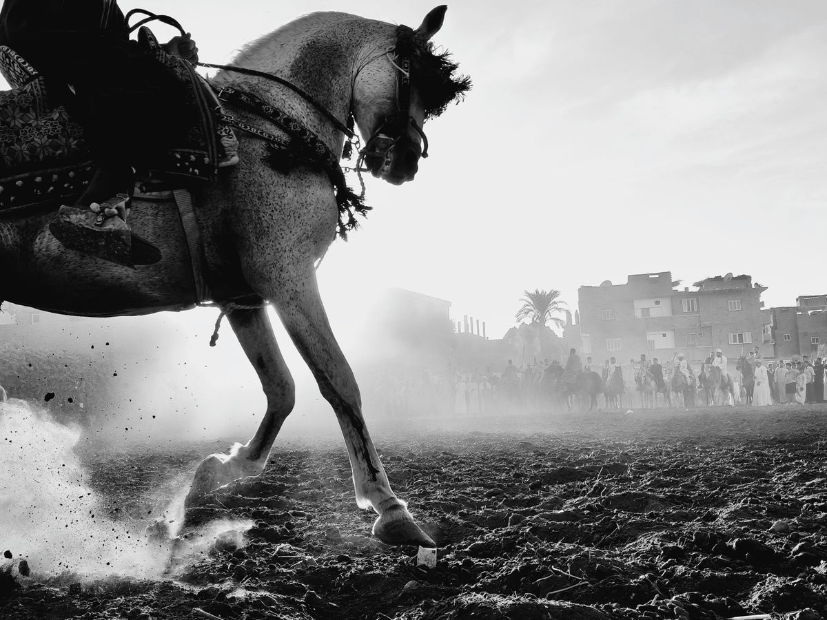 Timeless Framing by Abdullah Salah, Oppo Photography Awards 2025