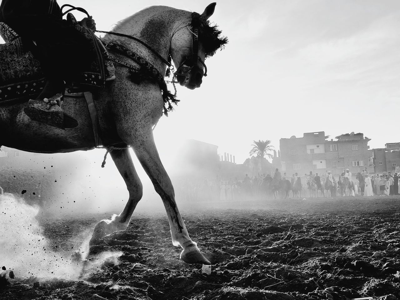 Timeless Framing by Abdullah Salah, Oppo Photography Awards 2025