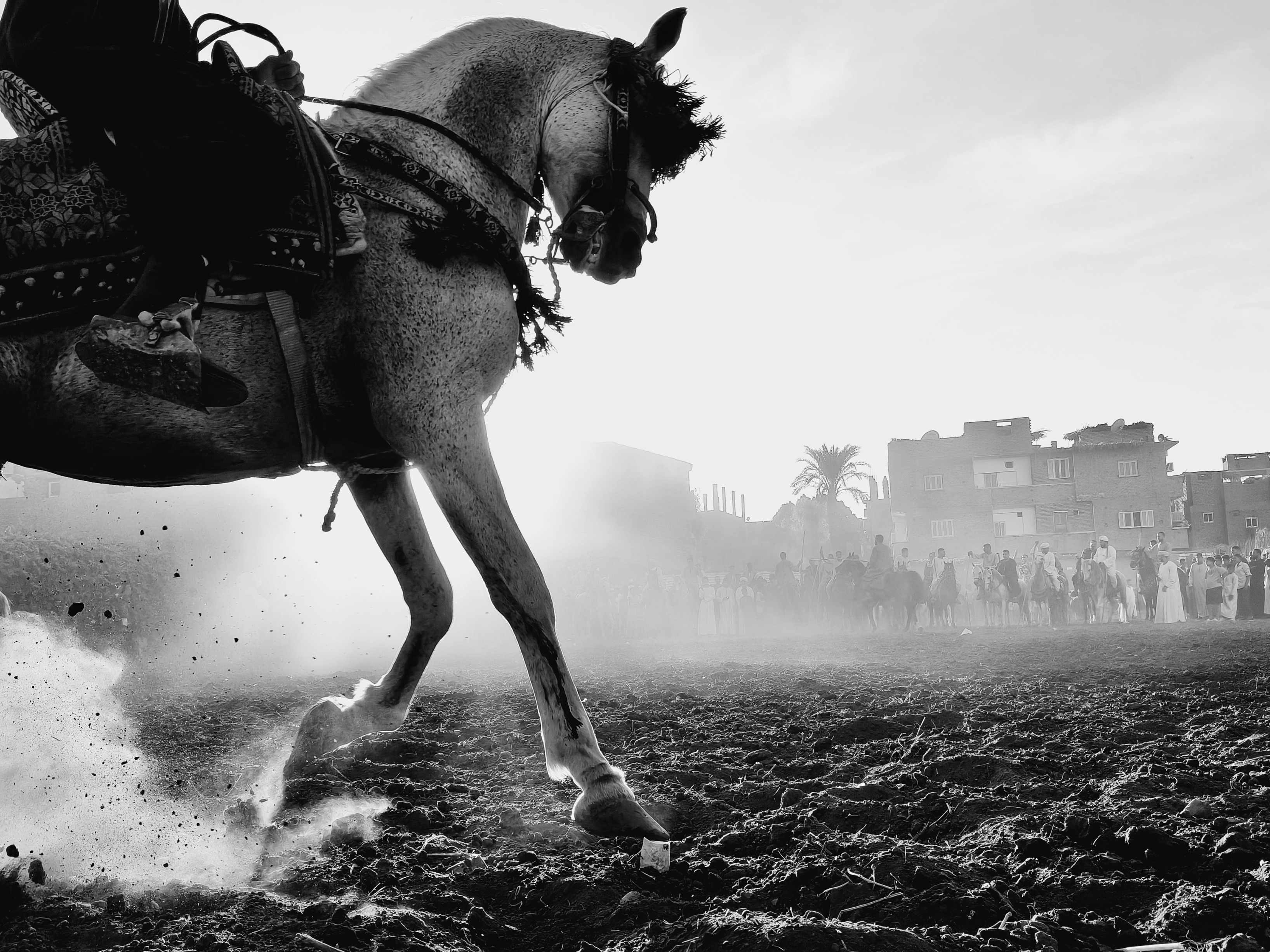 Timeless Framing by Abdullah Salah, Oppo Photography Awards 2025