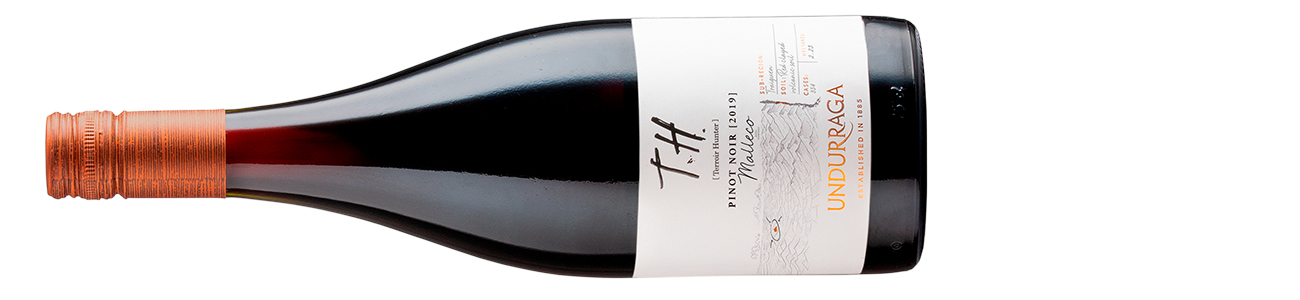 Undurraga-Terroir-Hunter-Pinot-Noir-Malleco-Valley.jpg