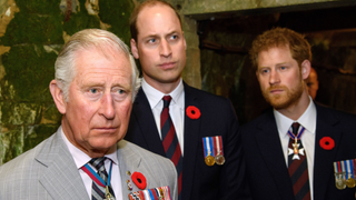 Prince Charles, Prince of Wales, Prince William, Duke of Cambridge and Prince Harry visit the tunnel and trenches at Vimy Memorial Park during the commemorations for the centenary of the Battle of Vimy Ridge on April 9, 2017 in Vimy, France. The Battle Of Vimy Ridge was fought during WW1 as part of the initial phase of the Battle of Arras. Although British-led, it was mostly fought by the Canadian Corps. A centenary commemorative service will be held at the Canadian National Vimy Memorial in France attended by the Prince of Wales, The Duke of Cambridge and Prince Harry and representatives of the Canadian Government.