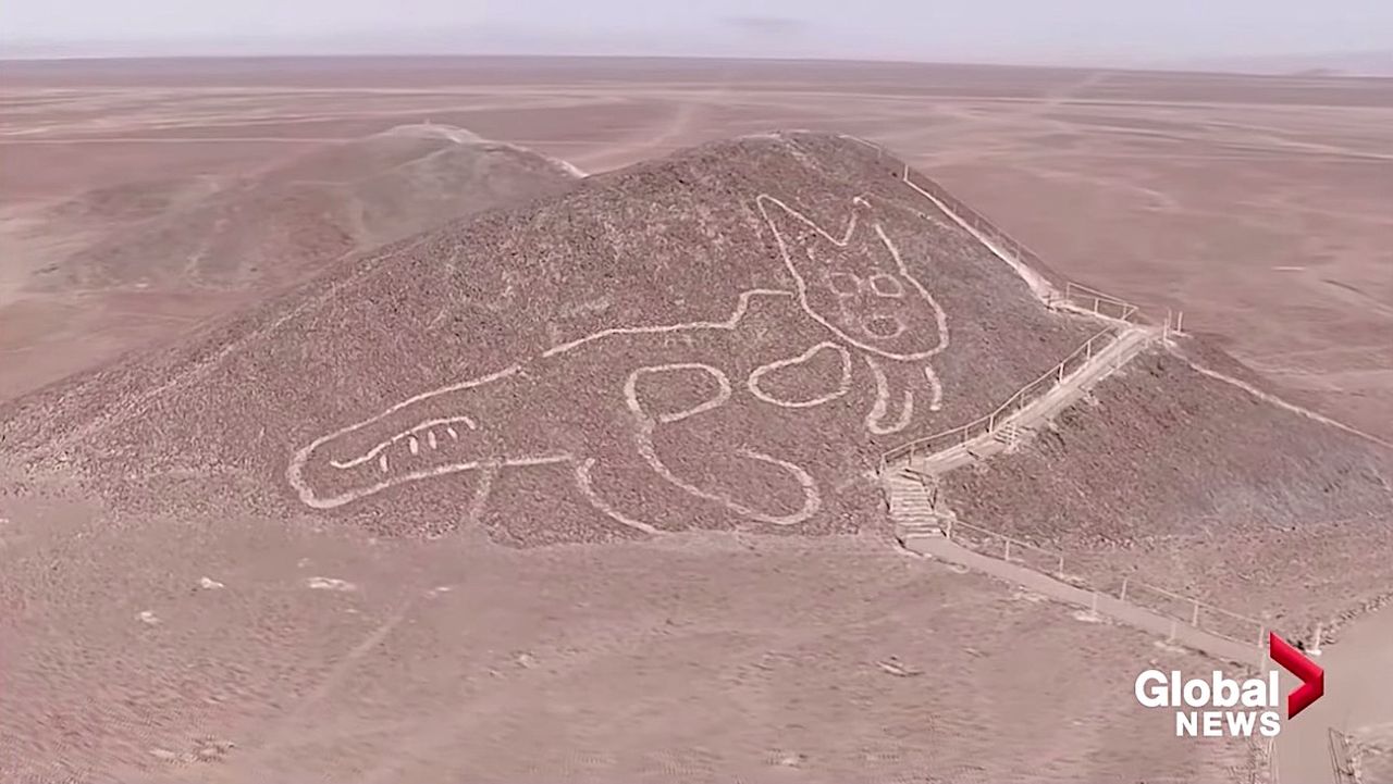 A cat amid the Nazca Lines