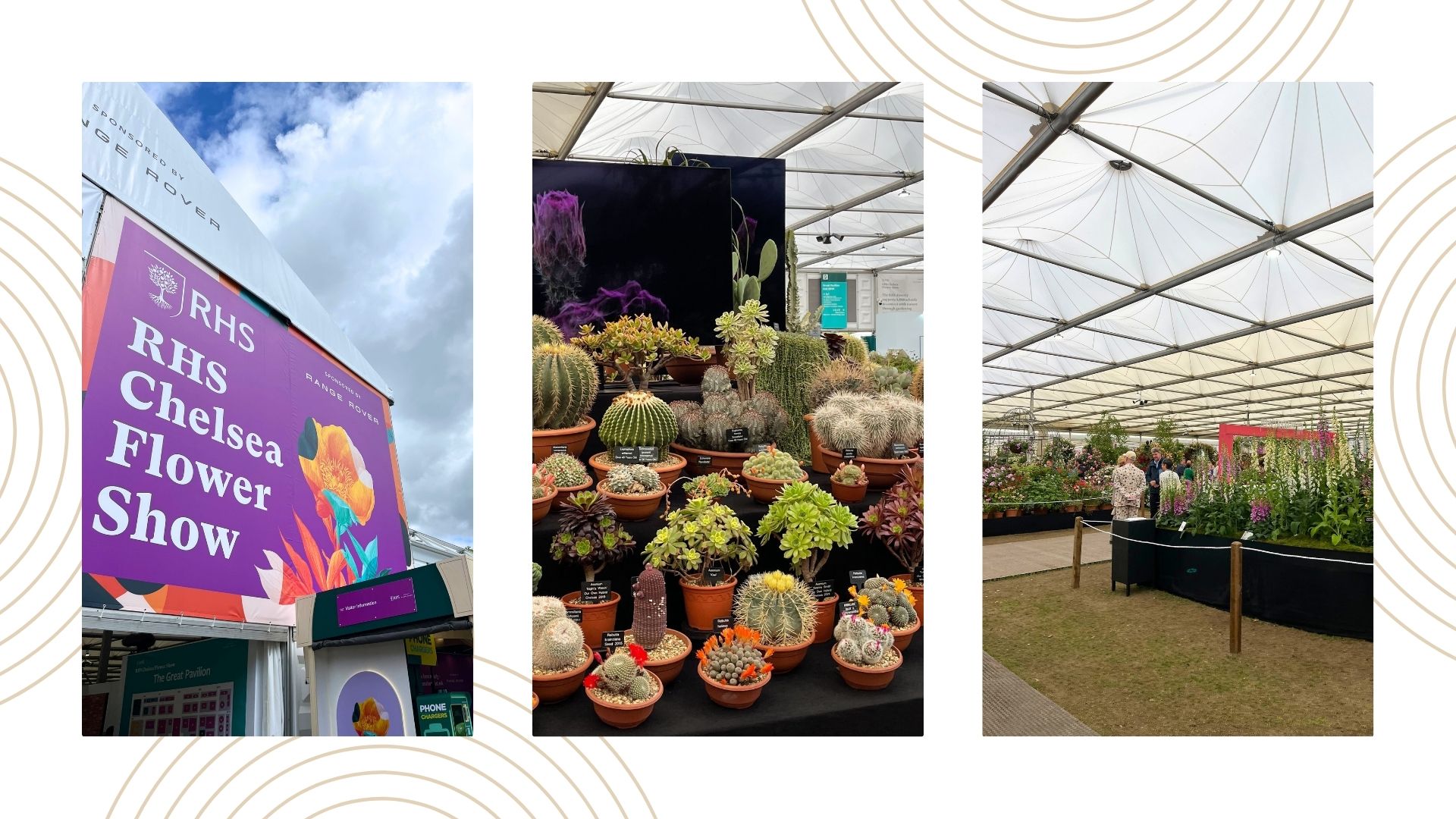composite of chelsea flower show, cacti stand and grand pavillion