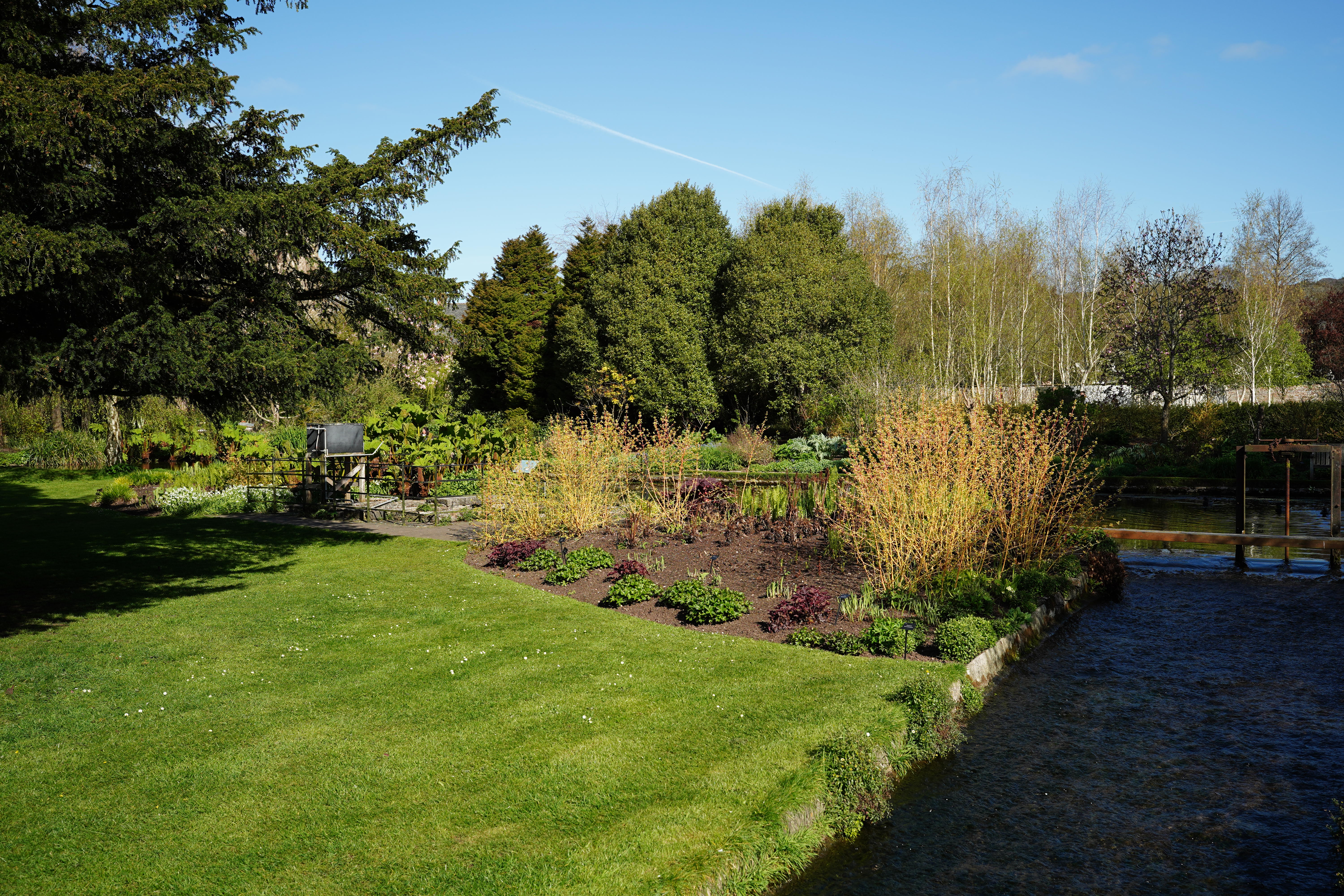 Sigma 35mm f/1.2 DG II Art sample image