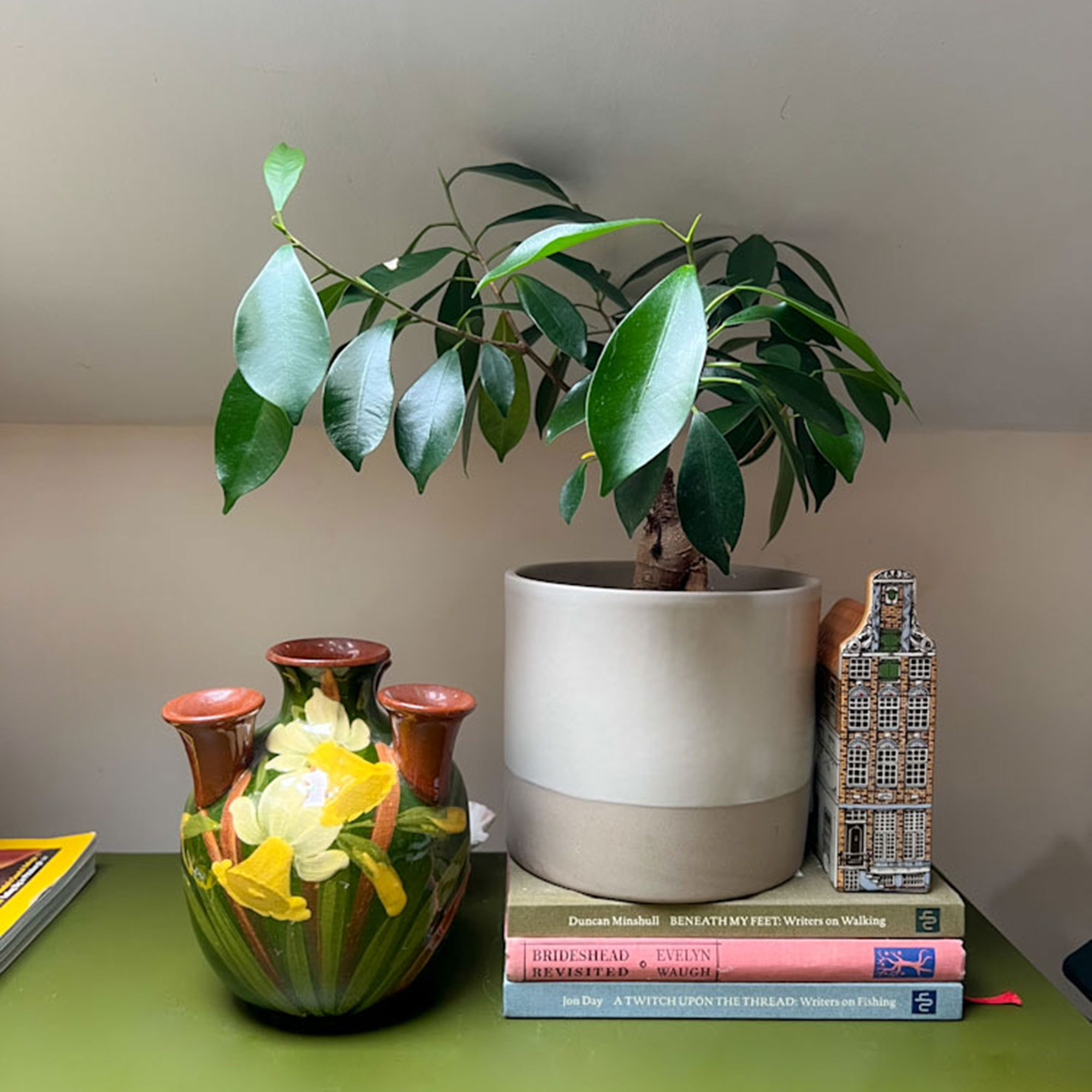 Green leafy plant in neutral ceramic pot on stack of books and beside small pot decorated with daffodils