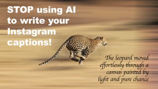 Panned photo of leopard running