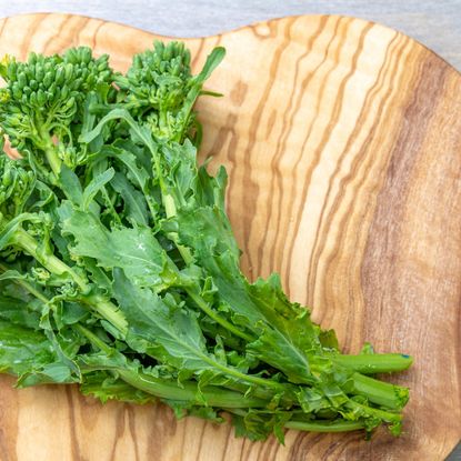 fresh rapini on cutting board 