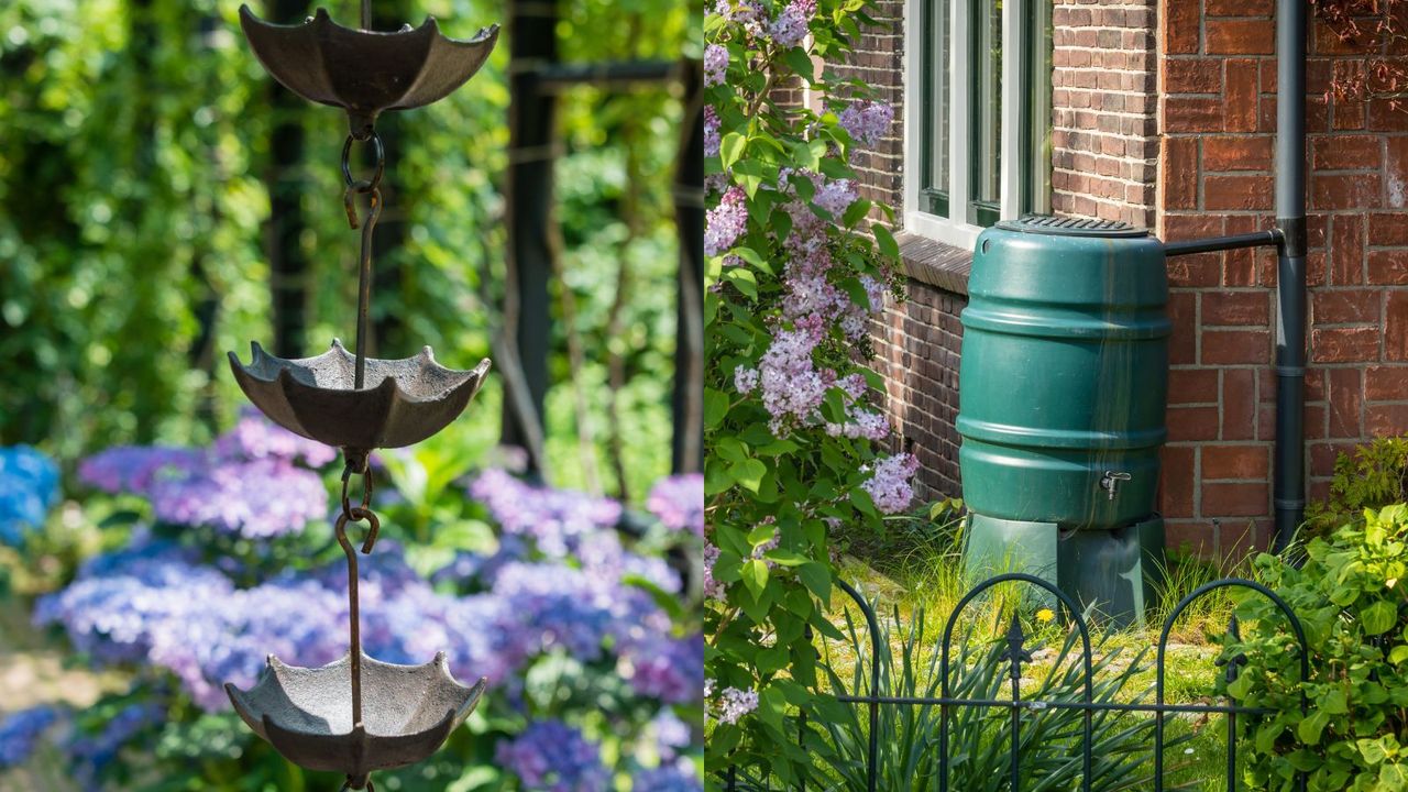 Rain chains vs rain barrels 