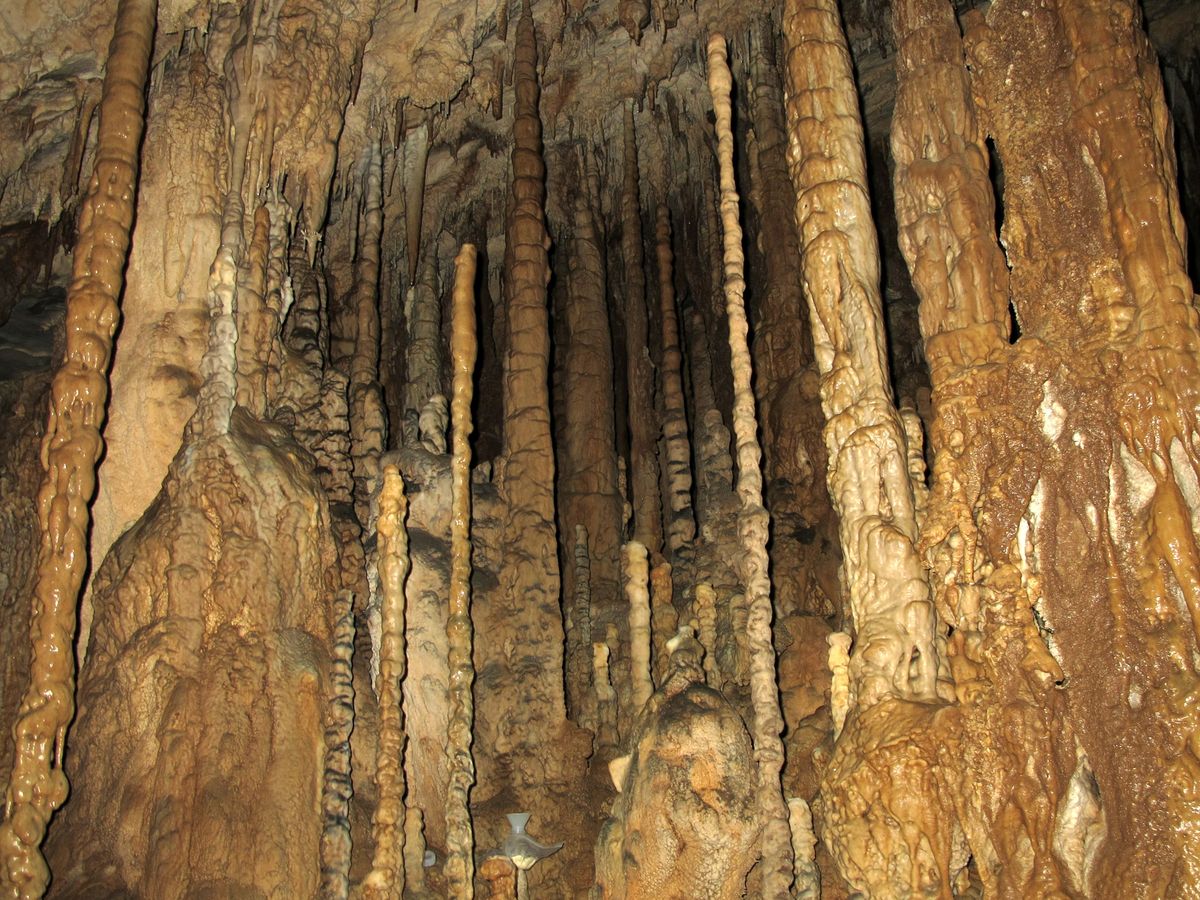 Borneo cave stalagmites